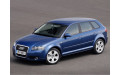 Внутренняя арка/подкрылок для Audi A3 Sportback 8P Внутренняя арка/подкрылок для Audi A3 Sportback 8P