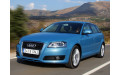 Внутрішня арка/підкрилок для Audi A3 Sportback 8P Внутрішня арка/підкрилок для Audi A3 Sportback 8P