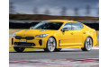 Внутрішня арка/підкрилок для Kia Stinger