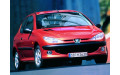 Внутрішня арка/підкрилок для Peugeot 206