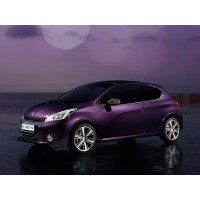 Внутрішня арка/підкрилок для Peugeot 208 I