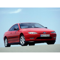 Внутрішня арка/підкрилок для Peugeot 406 Coupe