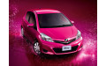Внутрішня арка/підкрилок для Toyota Vitz P130