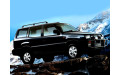 Внутренняя арка для Ford Maverick I