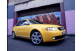 Кузовной порог для Audi S3 8L