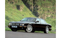 Кузовной порог для Jaguar XJR X300